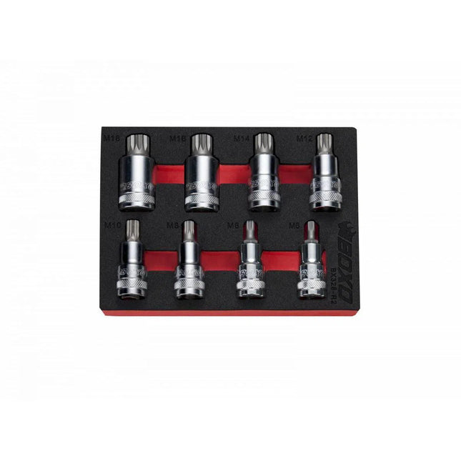 BoxoUSA 8-Piece 1/2" Drive Standard Length Spline Bit Socket Set | 1/9th EVA Foam BX328-R2