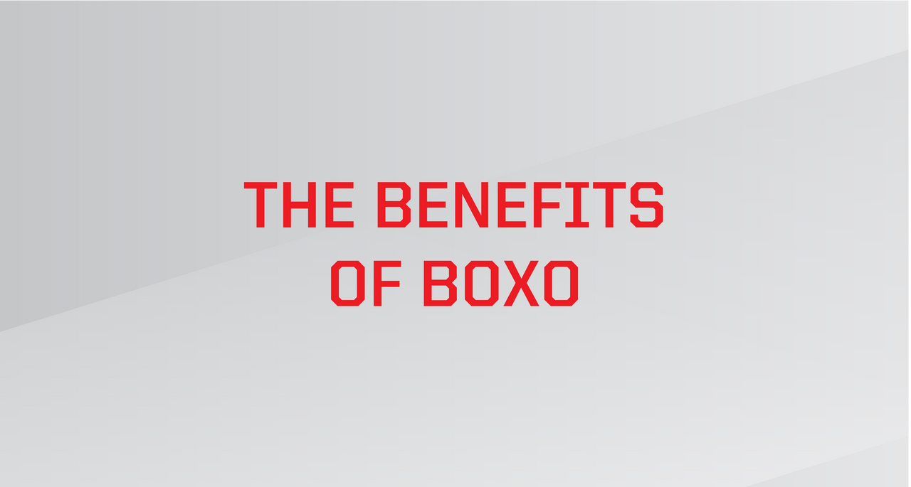 BoxoUSA Professional Tool Solutions Backed for Life